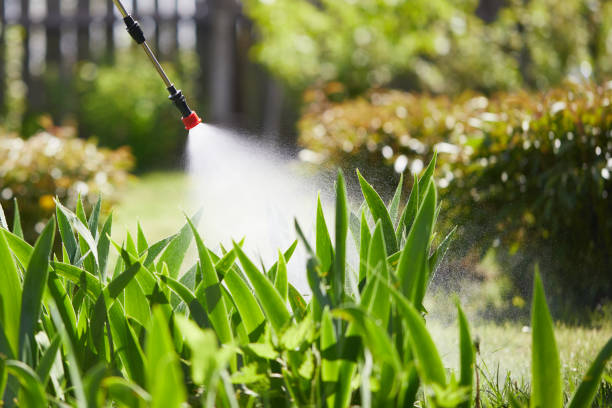 24/7 Emergency Mosquito Control experts in Lake Holiday, IN